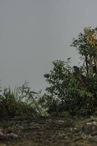 BIB: 
                            <button type="button" onclick="openModal(24731435)" class="btn btn-primary btn-sm float-right btn-popup" data-toggle="modal" data-target=".modal-high-quality">
                        <i class="fas fa-shopping-cart"></i> Add to Cart
                    </button>
                                            <button type="button" onclick="isThisMe(24731435, true)" class="btn btn-success btn-sm float-right btn-popup btn-isme hidden" data-toggle="tooltip" data-placement="bottom" title="นี่คือรูปของคุณใช่ไหม คลิกที่นี่เพื่อเอาเข้าอัลบั้ม">
                        <i class="fas fa-plus"></i> Add to album
                    </button>
                    <button type="button" onclick="isThisMe(24731435, false)" class="btn btn-warning btn-sm float-right btn-popup btn-isnotme hidden">
                        <i class="fas fa-ban"></i> Remove from album
                    </button>